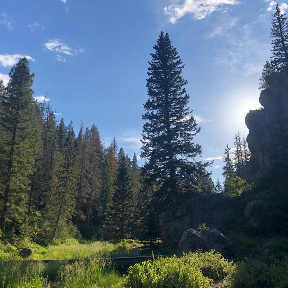 Meet your Posher, Brooke